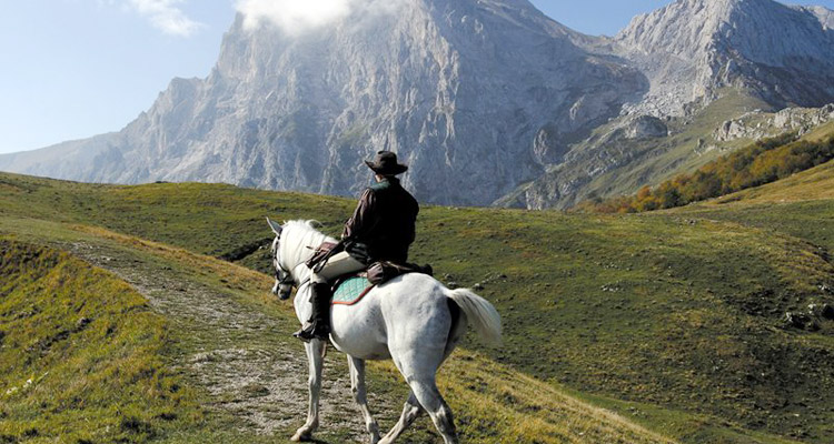 Wander Routes for Trekking with Horses